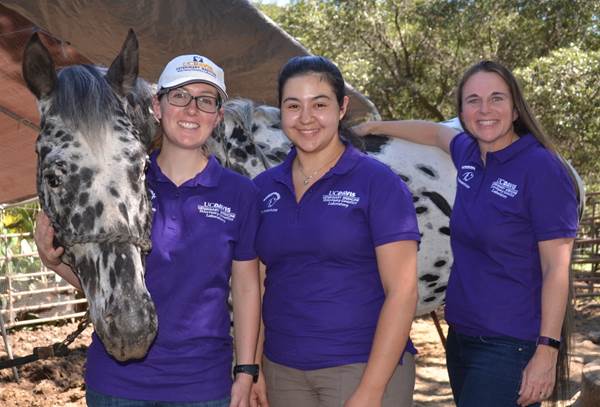 Dr. Rebecca Bellone with two of her graduate students and an appaloosa horse
