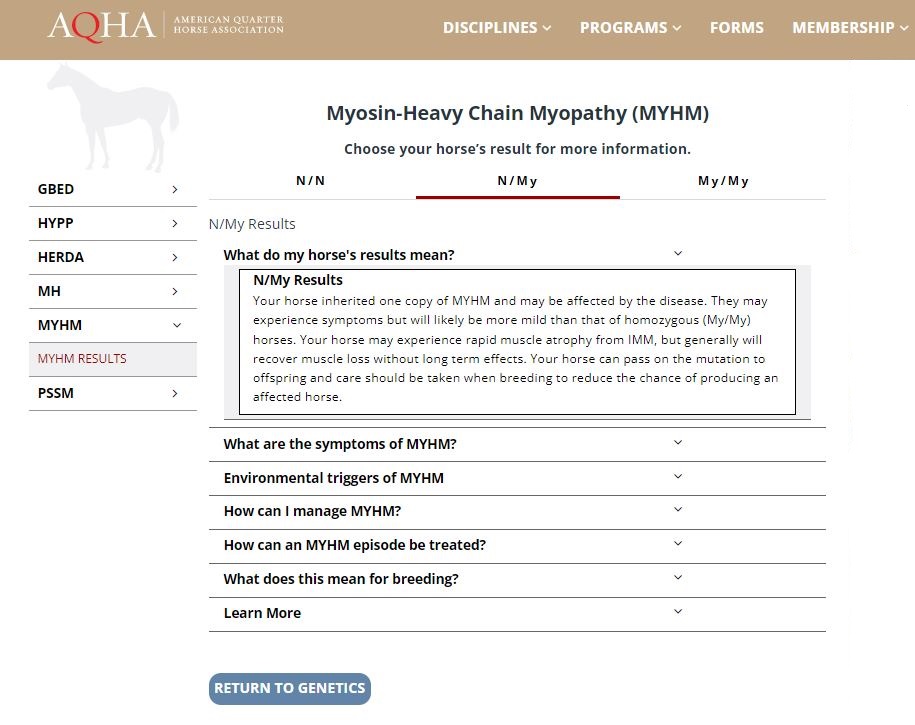 AQHA online educational resource for MYHM