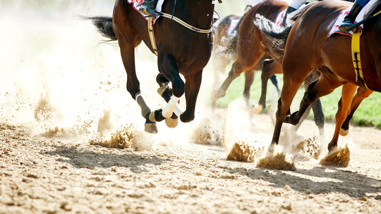 Horses running on the racetrack