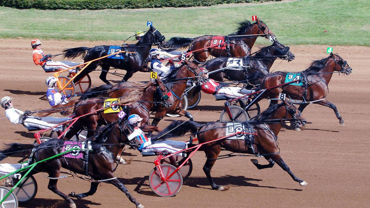 Standardbred racing