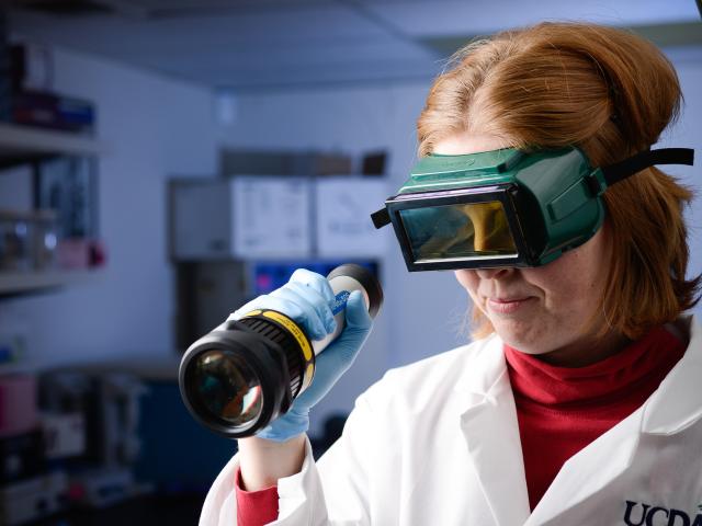 VGL Forensics