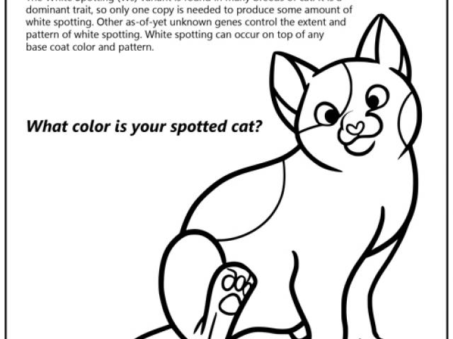 Black and white cat coloring page